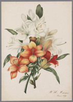 KT 2009 051
<br/>
Album Amicorum van Lambertus de Jong
<br/>
<em>Verschuur, Wouterus (1812-1874)</em>